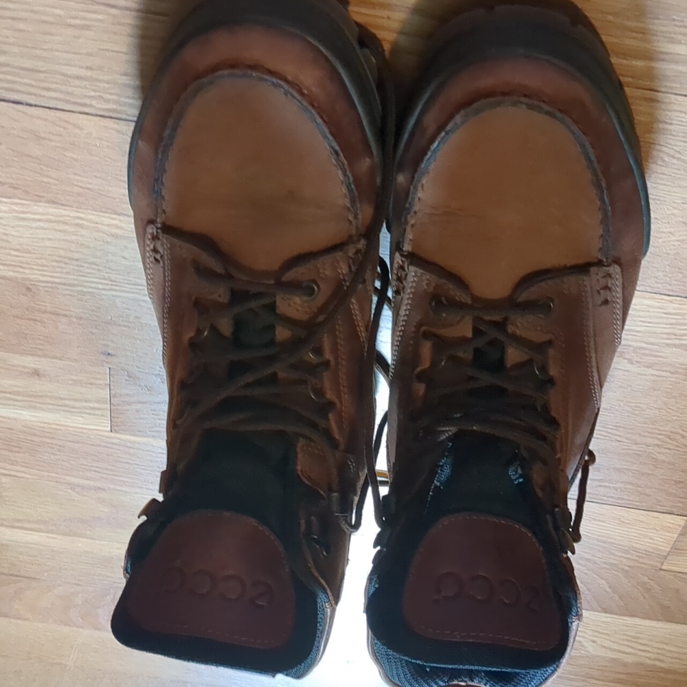 Ecco track boot